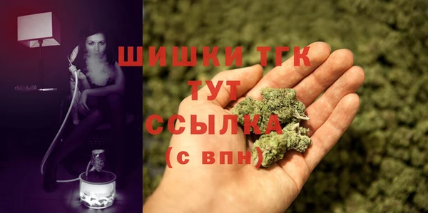 амф Медногорск