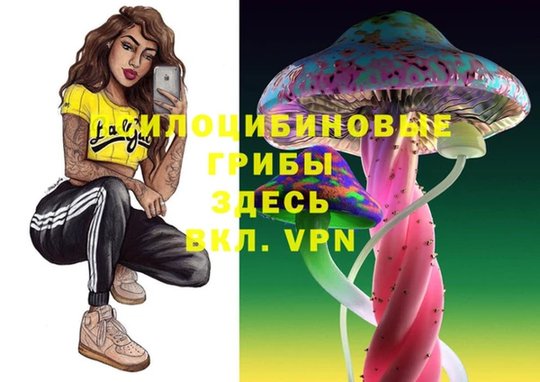 сатива Медвежьегорск
