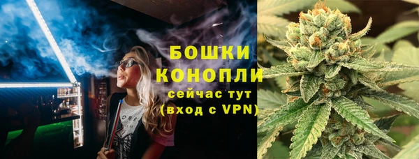 сатива Медвежьегорск