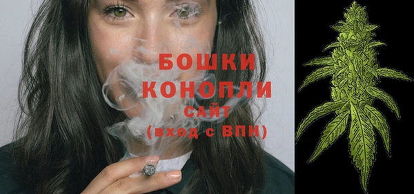 сатива Медвежьегорск